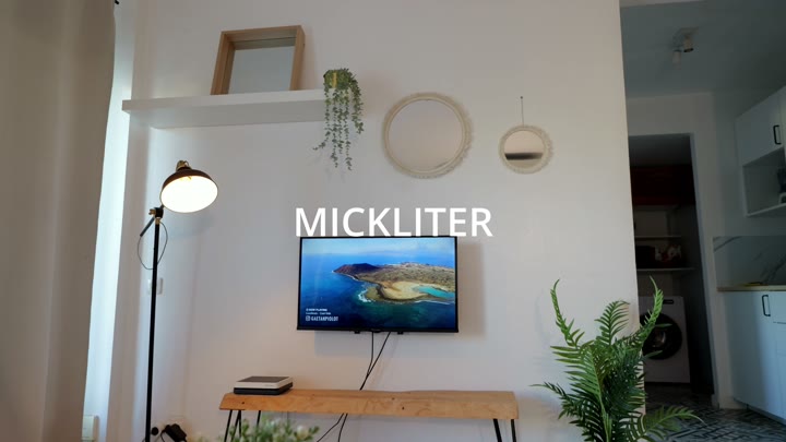 Mick Liter My Roommate Really Wanted To Fuck - hoTiva